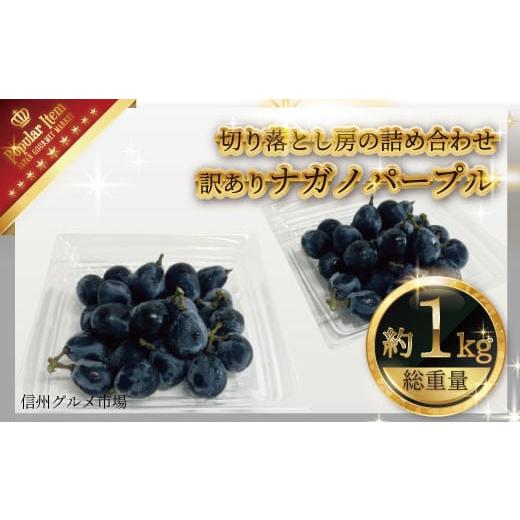 ふるさと納税 長野県 須坂市 訳ありナガノパープル約1kg(切り落とし房の詰め合わせ)[信州グルメ市場] 2024年発送 ※8月下旬頃〜9月下旬頃…