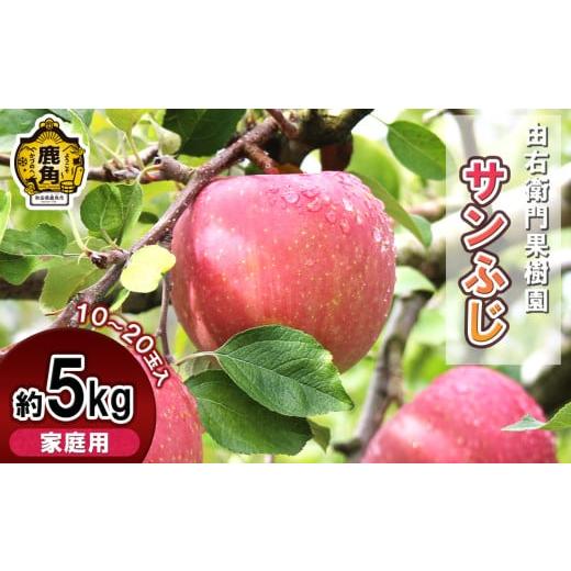 ふるさと納税 りんご 秋田県 鹿角市 2025年12月中旬発送 由右衛門果樹園 りんご 家庭用 「サンふじ」約5kg(10〜20玉) 由右衛門果樹園 2025年12月中旬発送