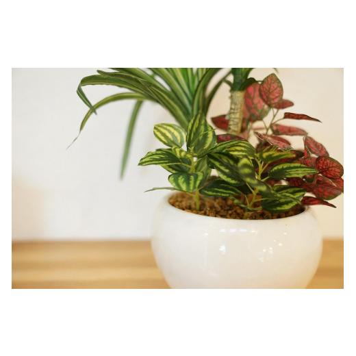 ふるさと納税 花・苗木 兵庫県 神戸市 人工観葉植物　ユッカ寄せ植えジャングルポット_4