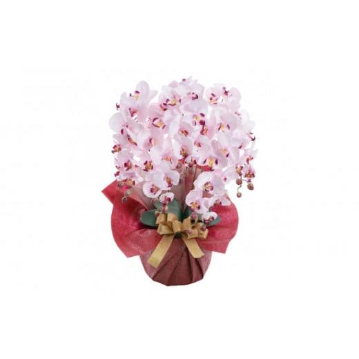 ふるさと納税 花・苗木 兵庫県 神戸市 枯れないアーティフィシャルフラワー胡蝶蘭 5本立ち/ラベンダー ラベンダー