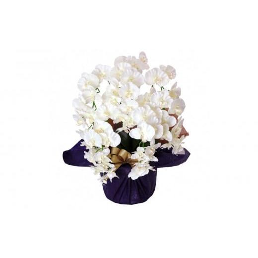 ふるさと納税 花・苗木 兵庫県 神戸市 枯れないアーティフィシャルフラワー胡蝶蘭 5本立ち/ホワイトイエロー ホワイトイエロー