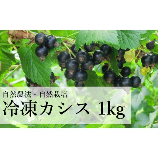ふるさと納税 果物類 岩手県 遠野市 自然農法 自然栽培 冷凍カシス 1kg 無農薬栽培 オーガニック 遠野もぐもぐカントリー 岩手県 遠野市 2026年7月15日より順…