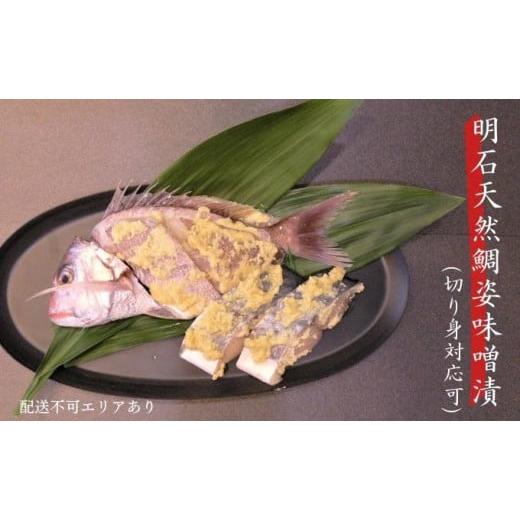 ふるさと納税 漬魚(味噌・粕等) 味噌漬け 兵庫県 明石市 明石天然鯛姿味噌漬(切り身対応可)姿開き 姿開き
