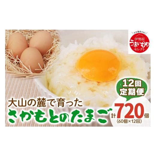 ふるさと納税 神奈川県 伊勢原市 [定期便] 坂本養鶏 大山の麓で育ったさかもとのたまご たまご 合計720個 (60個×12回) [0100] 伊勢原市 赤玉卵 玉子 鶏卵 生…