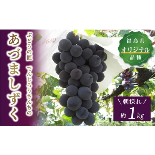 ふるさと納税 果物類 ぶどう 福島県 田村市 先行予約 ＼あづましずく 約1kg/ 高級 種無し 種なし 皮ごと 巨峰 ぶどう 品種 果物 フルーツ シャインマスカッ…
