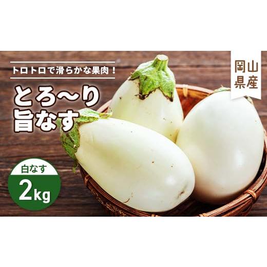 ふるさと納税 野菜類 茄子 岡山県 津山市 2026年7月以降発送 なす栽培歴50年の大ベテランが育てた、とろ〜り旨なす『白なす』2kg_ナス 白ナス 野菜 国産 岡山…