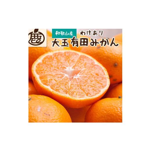 ふるさと納税 果物類 みかん 和歌山県 有田川町 ［先行予約］家庭用 有田みかん（大玉）5kg+250g（傷み補償分） |  | 01