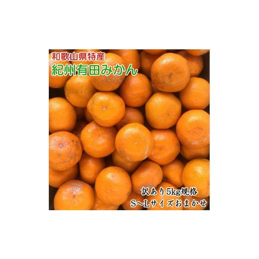 ふるさと納税 果物類 みかん 和歌山県 湯浅町 ZD7019_ 2026年先行予約 訳あり 和歌山 有田みかん 5kg(S〜Lサイズいずれかお届け)