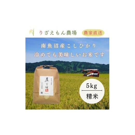 ふるさと納税 米 コシヒカリ 新潟県 南魚沼市 白米5kg 令和7年産 南魚沼産こしひかり 魚野川流域 匠 雲蝶(たくみ うんちょう) ＼生産農家直送/