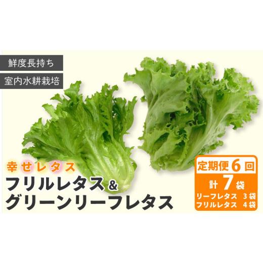 ふるさと納税 野菜類 徳島県 阿波市 定期便 6回 野菜 詰め合わせ セット レタス 計7個 幸せレタス フリルレタス 4個 グリーンリーフ 3個 水耕栽培 LED 栽培 低…