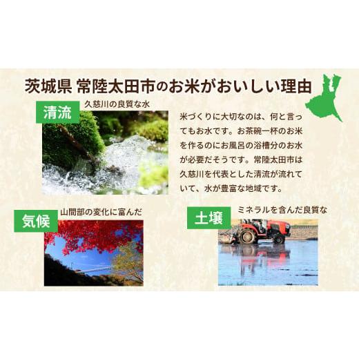 ふるさと納税 米 茨城県 常陸太田市 令和6年産 新米 2週間以内 ふるさと納税 米 茨城県 常陸太田市 令和6年産 新米 2週間以内
