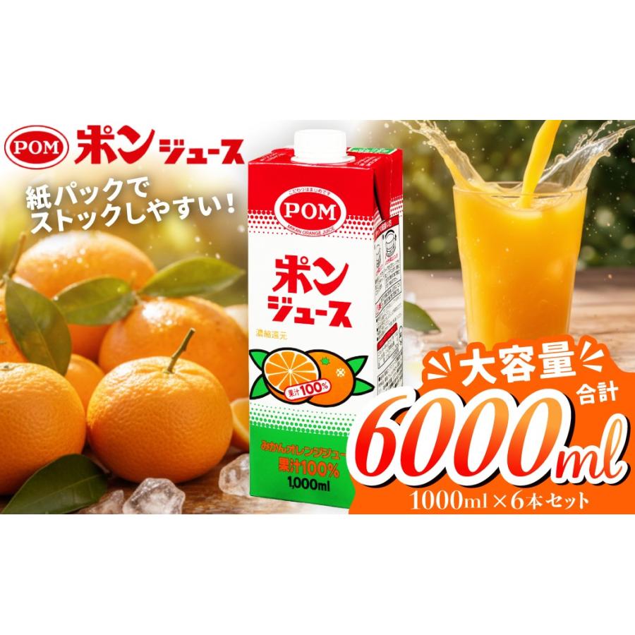ふるさと納税 果汁飲料 みかん 茨城県 常陸太田市 ポンジュース
