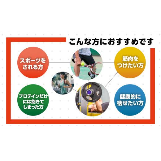 ふるさと納税 かまぼこ・練り製品 ちくわ 愛知県 豊橋市 たんぱく質ちくわ 25本 小分け 個荷作り 仕かける ヤマサちくわ 凝結 たんぱく質 たんぱく質入り口・入口 筋トレ …