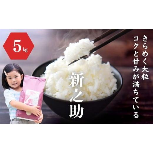 ふるさと納税 米 コシヒカリ 新潟県 糸魚川市 令和7年産新米『新之助』5kg 米・食味鑑定士お墨付き 家族みんなで愛情かけて育てた米 新潟県糸魚川産 2025年 し…