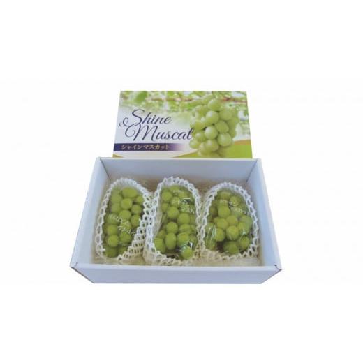 ふるさと納税 広島県 三次市 LF2201 谷重農園のシャインマスカット（約2kg）