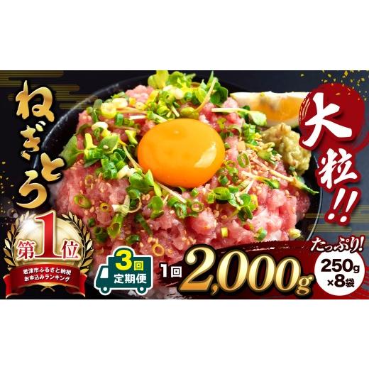 ふるさと納税 マグロ 千葉県 君津市 定期便 3回 ネギトロ 2000g(250g 小分け × 8袋 ) | 大人気 清幸丸水産 ねぎとろ とろ 鮪 マグロ まぐろ たたき まぐろ…