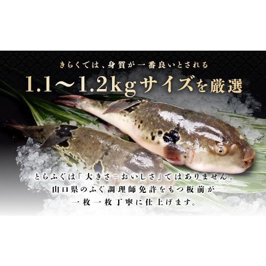 ふるさと納税 フグ 山口県 長門市  定期便 とらふぐ刺身1人前×4皿×12回 ふぐ ふぐ刺し ふぐ刺身 フグ ふぐ皮 毎月4枚(1人前)×12ヶ月 定期便 海鮮 山口県 河…_4