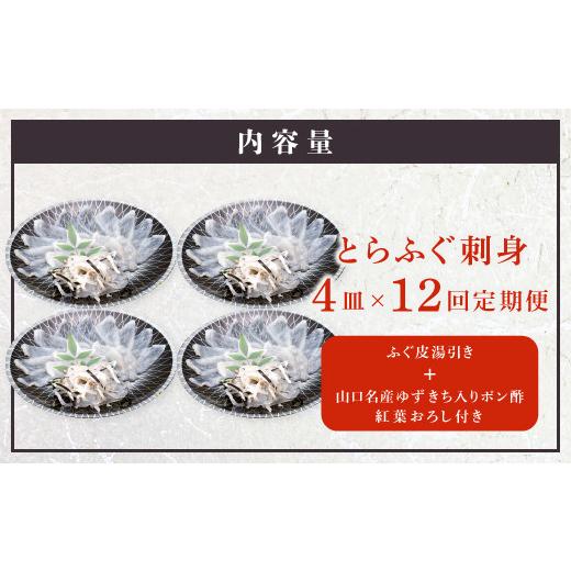 ふるさと納税 フグ 山口県 長門市  定期便 とらふぐ刺身1人前×4皿×12回 ふぐ ふぐ刺し ふぐ刺身 フグ ふぐ皮 毎月4枚(1人前)×12ヶ月 定期便 海鮮 山口県 河…_8