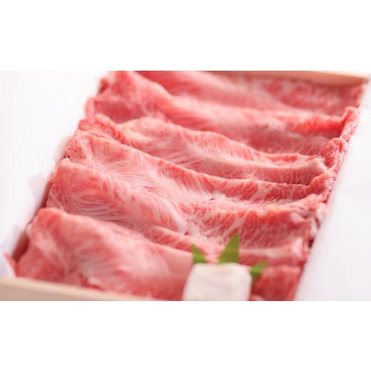 ふるさと納税 滋賀県 守山市 A5ランク　特選近江牛すき焼き・しゃぶしゃぶ用　500g入 