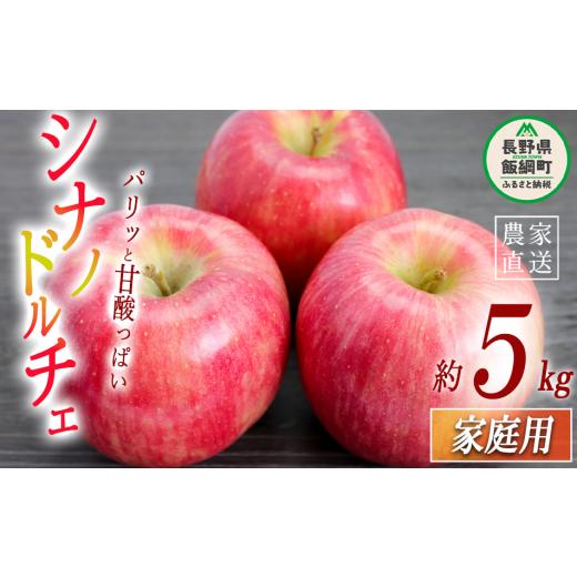 ふるさと納税 りんご 長野県 飯綱町 りんご シナノドルチェ 家庭用 5kg 菅谷さんのりんご 沖縄県への配送不可 2026年9月下旬頃から2026年10月上旬頃まで順次発…