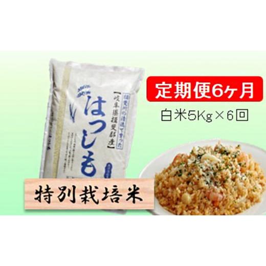 ふるさと納税 米 岐阜県 池田町 特別栽培米 定期便 6カ月 毎月 白米5kg ハツシモ お米 令和7年産 幻のお米 大粒 アッサリ お寿司 丼物 炒め物 安心 安全 美味…