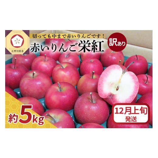 ふるさと納税 りんご 青森県 五所川原市 2025年12月上旬発送 赤〜いりんご 栄紅 訳あり約5kg青森県五所川原市限定 12月上旬発送(1日〜10日)