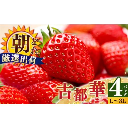 ふるさと納税 いちご 奈良県 平群町 ジューシー 平群 の 古都華 いちご L ~ 3L サイズ から 2種 (2パック2ケース)計4パック 苺屋小東 | 先行予約 フルーツ …