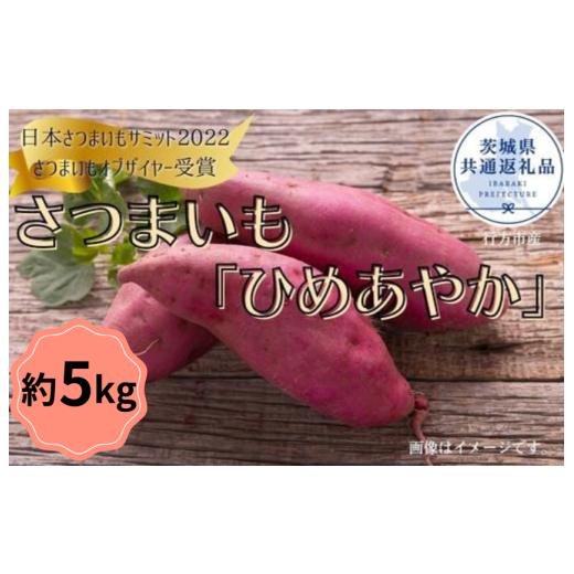 ふるさと納税 野菜類 サツマイモ 茨城県 鉾田市 2025年産 さつまいも「ひめあやか」約5kg(茨城県共通返礼品/行方市産)
