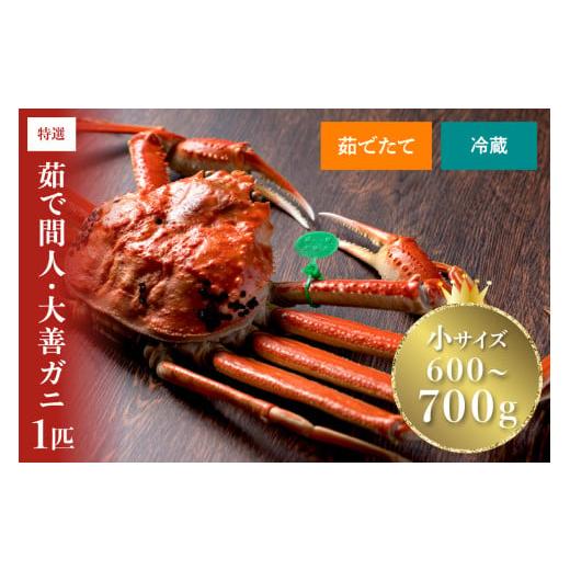ふるさと納税 カニ ずわいガニ 京都府 京丹後市 蟹の匠 魚政 京丹後市産 未冷凍 茹で間人ガニ大善ガニ 特撰 小サイズ (600~700g) 1匹 11月〜12月発送:平日 …