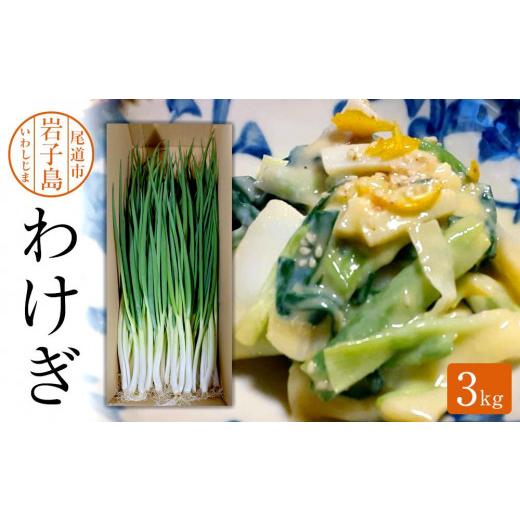ふるさと納税 野菜類 ねぎ 広島県 尾道市 わけぎ 3キロ 野菜 ねぎ 分葱 人気 おすすめ 広島県 尾道市