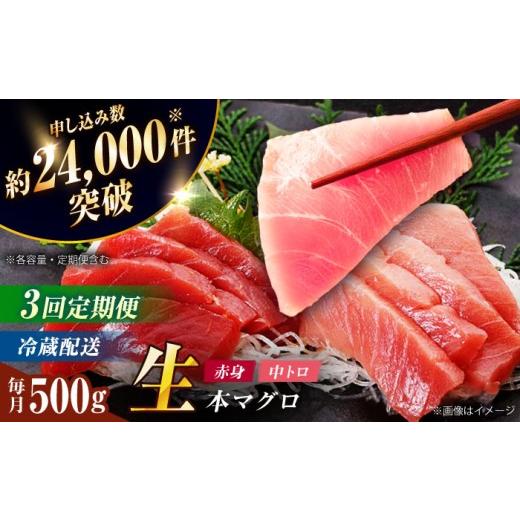 ふるさと納税 マグロ 長崎県 新上五島町  全3回定期便 ながさき水産業大賞受賞の新鮮なマグロを冷蔵でお届け 五島列島産 養殖 マグロ 赤身 中トロ 計約500g 定…の画像