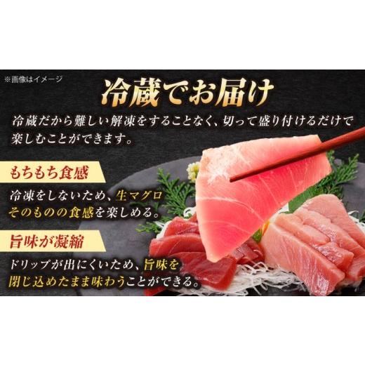 ふるさと納税 マグロ 長崎県 新上五島町  全3回定期便 ながさき水産業大賞受賞の新鮮なマグロを冷蔵でお届け 五島列島産 養殖 マグロ 赤身 中トロ 計約500g 定…の画像