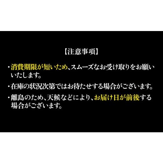 ふるさと納税 マグロ 長崎県 新上五島町  全3回定期便 ながさき水産業大賞受賞の新鮮なマグロを冷蔵でお届け 五島列島産 養殖 マグロ 赤身 中トロ 計約500g 定…の画像
