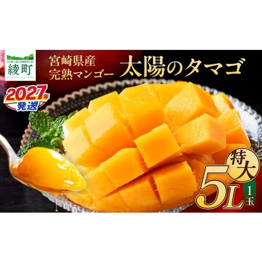 ふるさと納税 マンゴー 宮崎県 綾町 先行予約 数量限定 完熟マンゴー 『太陽のタマゴ 』 5L×1玉 マンゴー 宮崎 果物 フルーツ くだもの 2027年 国産 高級 マ…