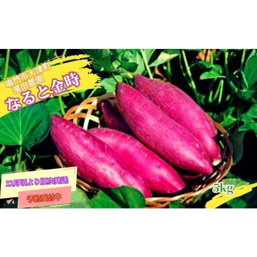 ふるさと納税 野菜類 サツマイモ 徳島県 鳴門市 予約受付中・2025年12月頃より順次発送 訳あり 濱田農園 なると金時 サイズ混合(不揃い) 約5kg 数量限定 さ…
