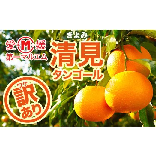 ふるさと納税 みかん・柑橘類 愛媛県 愛南町 訳あり 第一マルエムの清見タンゴール 5kg 発送期間:3月中旬〜3月下旬