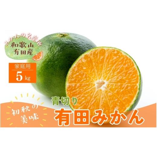 ふるさと納税 果物類 みかん 和歌山県 太地町 先行予約 初秋の美味 農家直送 有田育ちのご家庭用青切り有田みかん 約5kg +200g(傷み補償分) 2026年9月中旬〜…