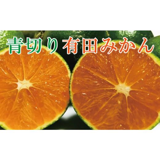 ふるさと納税 和歌山県 新宮市 [先行予約][2024年9月中旬〜10月中旬頃発送予定][初秋の美味][農家直送]厳選!濃厚青切り有田みかん 約4kg