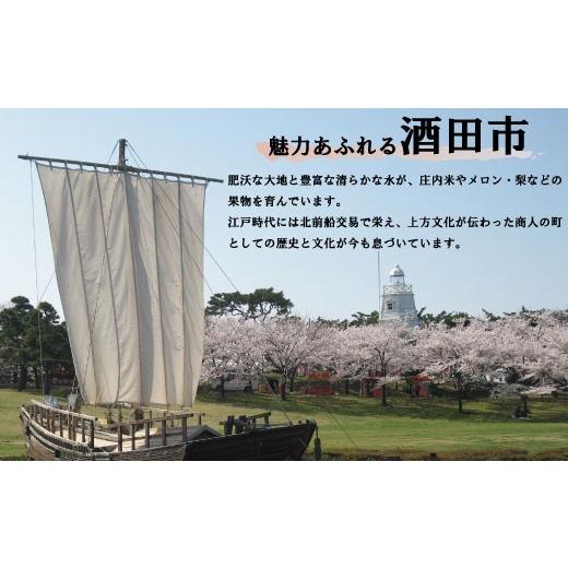 ふるさと納税 日本酒 純米大吟醸酒 円錐小体県 酒田市 清泉川 純米大吟醸 雪吉祥天 1800ml×1本 SD0286