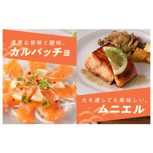 ふるさと納税 大阪府 泉佐野市 【期間限定】アトランティックサーモン 1.1kg（1kg+はしっこ 100g） 刺身用ポーション 小分け 真空パック｜furusatochoice｜07