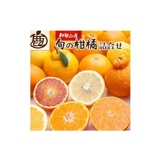 ふるさと納税 和歌山県 由良町 [1月より発送]厳選 旬の 柑橘詰合せ3kg+90g(傷み補償分)