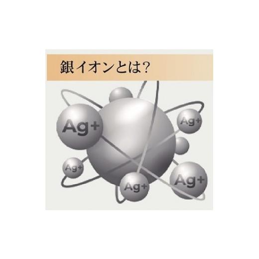 ふるさと納税 タオル・寝具 大阪府 泉大津市 日本製 銀イオンシート入り (Ag＋) 敷きパッド セミダブル ベージュ GFP-22SWBE 2713_3