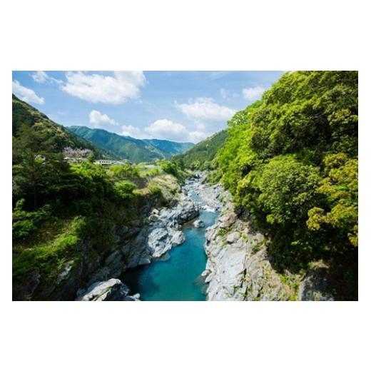 ふるさと納税 お茶類 緑茶（茶葉・ティーバッグ） 三重県 大台町 TSUMUKIYUTAKA 日々のお茶 ティーバッグ(5g×20)3袋 (2g×30)3袋／積木商店 特選茶 お茶 飲料…_4