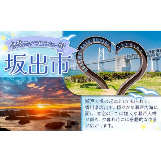 ふるさと納税 醤油 香川県 坂出市  堺屋醤油 讃岐 白