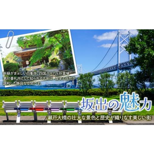 ふるさと納税 醤油 香川県 坂出市  堺屋醤油 讃岐 白