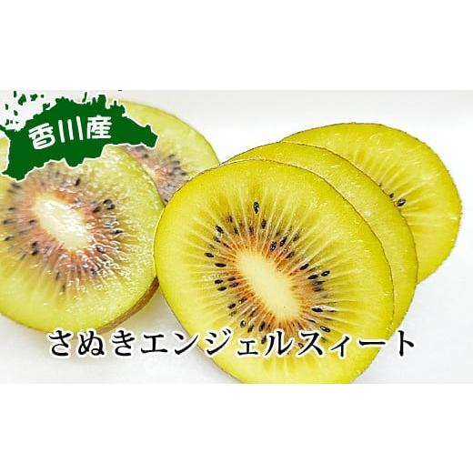 ふるさと納税 果物類 香川県 坂出市 さぬきエンジェルスイート約2kg 期間限定