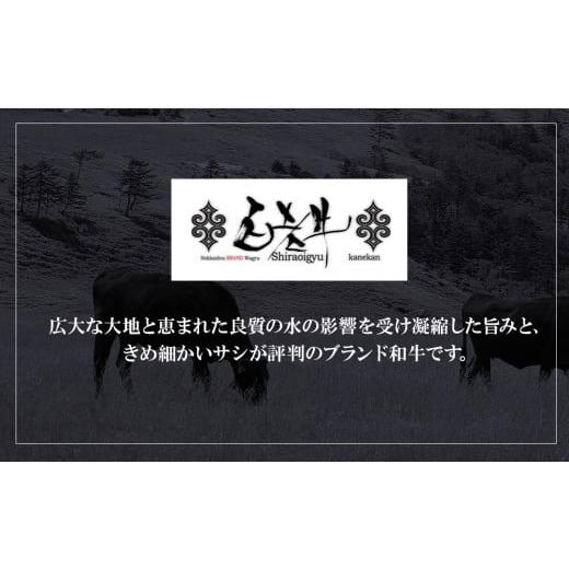 ふるさと納税 牛肉 ハンバーグ 北海道 白老町 定期便3カ月 お楽しみ 白老牛 ジューシー ハンバーグ セット 5個 網脂 特製ソース 手造り 手ごね_5