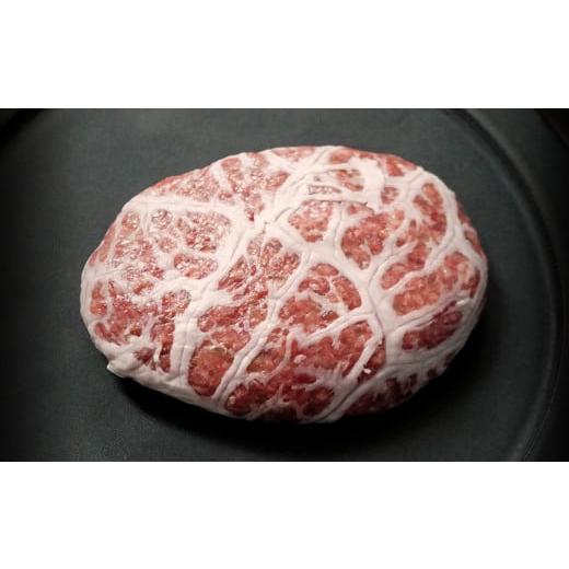 ふるさと納税 牛肉 ハンバーグ 北海道 白老町 定期便6カ月 お楽しみ 白老牛 ジューシー ハンバーグ セット 10個 網脂 特製ソース 手造り 手ごね