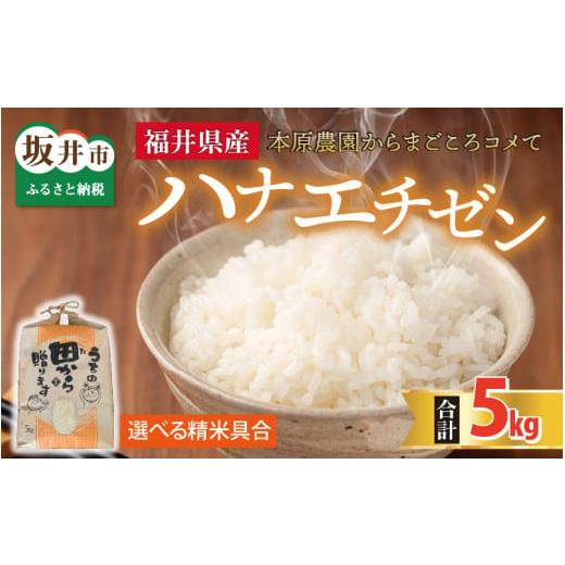 ふるさと納税 米 福井県 坂井市 先行予約 令和8年産・新米 ハナエチゼン5kg × 1袋 〜本原農園からまごころコメて〜(玄米) 2026年9月上旬以降順次発送予定 …