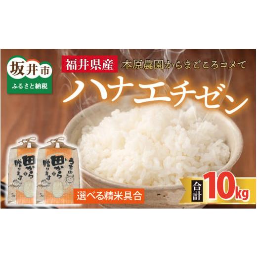 ふるさと納税 米 福井県 坂井市 先行予約 令和8年産・新米 ハナエチゼン10kg(5kg×2袋) 〜本原農園からまごころコメて〜(玄米) 2026年9月上旬以降順次発送…
